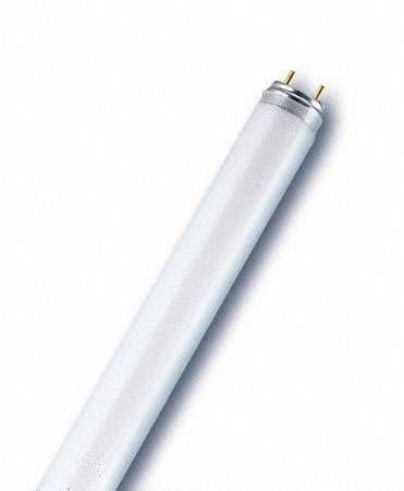 Osram L 36W/840 36 Watt G13 Duy T8 Floresan Ampulü