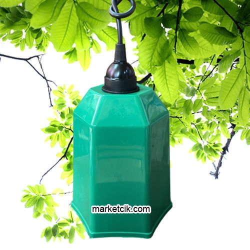 Marketcik Yeşil Renk Park Bahçe Ağaç Feneri Işığı