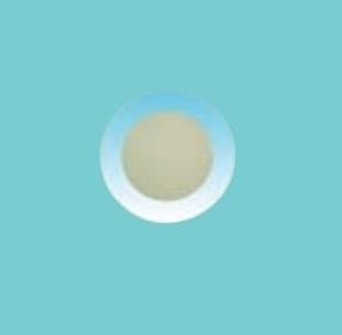 Philips ZZG 146 RG-FR-C Spot Armatür