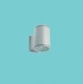 Philips DWP211 CDM-T70W IN NB-NB GR Park ve Dekoratif Bahçe Armatür