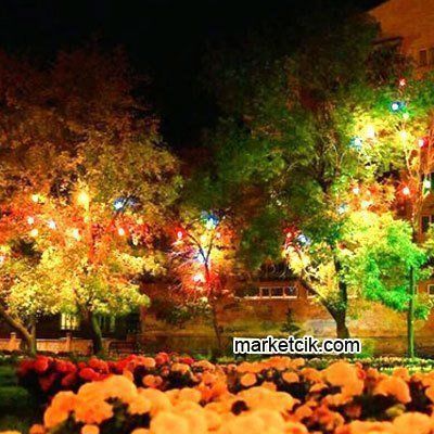 Marketcik Sarı Renk Park Bahçe Ağaç Feneri Işığı