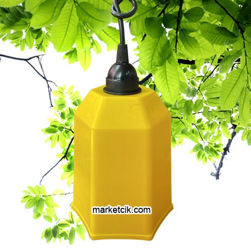 Marketcik Sarı Renk Park Bahçe Ağaç Feneri Işığı
