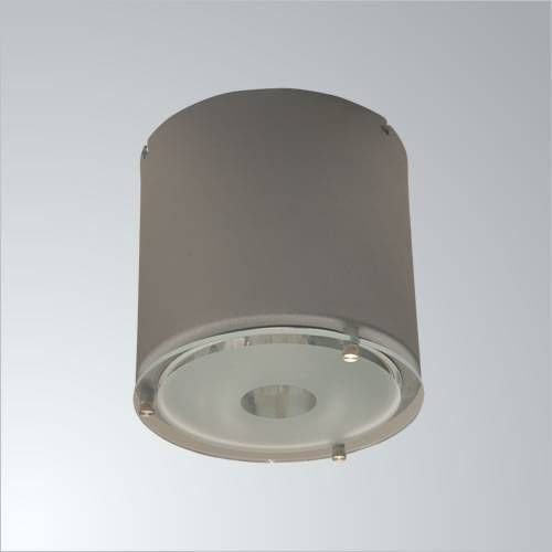 Pelsan 1x18 W S.Ü. Dikme Camlı Dikey Downlight Spot Armatür (Elektronik Balast)