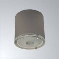 Pelsan 1x18 W S.Ü. Dikme Camlı Dikey Downlight Spot Armatür (Elektronik Balast)