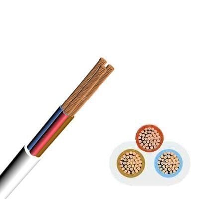 Marketcik Bakır Kaplı 2x2,5 mm CCA Alüminyum TTR Kablo 1 metre