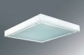 Pelsan 4x14 W S.Ü. Steril Ortam Armatürü Temperli Kumlu Camlı