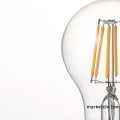 6 Watt E27 Duy G95 Glop Model Beyaz Işık Led Filament Ampul 9,5 cm