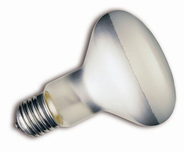 Sylavania-General 75W Bitki Ampulü E27 Duy Reflektörlü Soft-Mat Cam, Stok Sorunuz