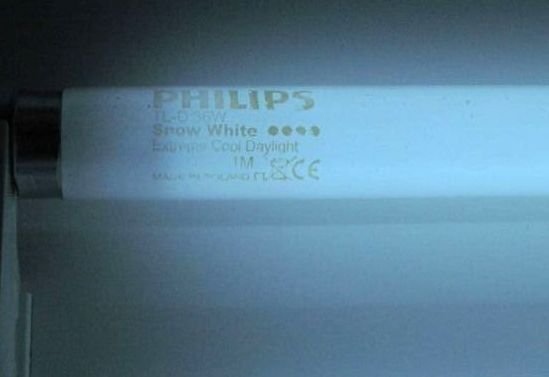 Philips-Sylvania-General-Osram 36 Watt T8 Snow White Floresan Ampul