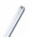 Marketcik 36 Watt Kasap Et Floresan Ampulü 120 cm, Pembe ışık