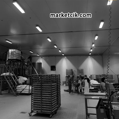 Pelsan 111104 Karpat 2x54 Watt T5 Yüksek Tavan Armatürü