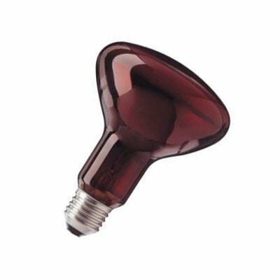 Şavk 100 Watt İnfrared Isıtan Lamba-Ampul, Kırmızı ışık