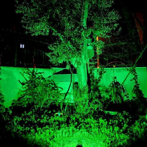 Pelsan Erbaled 20 Watt Dış Mekan Bahçe Yeşil Led Projektör