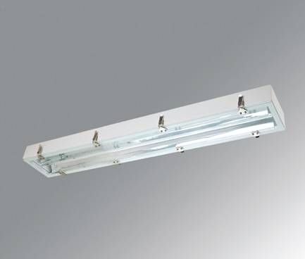 Pelsan 5014-296 2x28 W TL5 Yüksek Tavan Armatürü