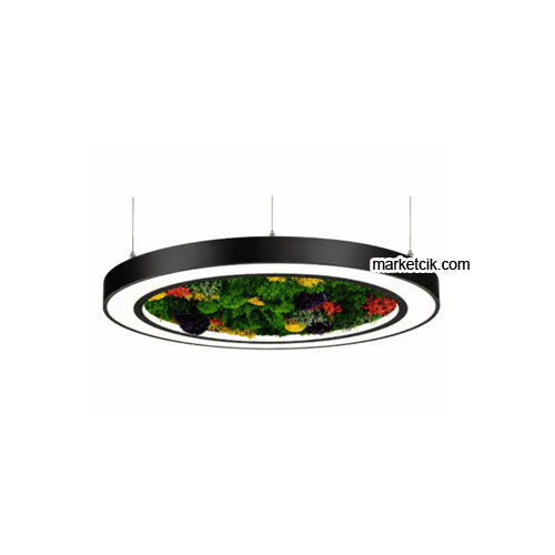 Marketcik Yosun Bitkili Moss Art Led Simit Linear Aydınlatma Armatürü
