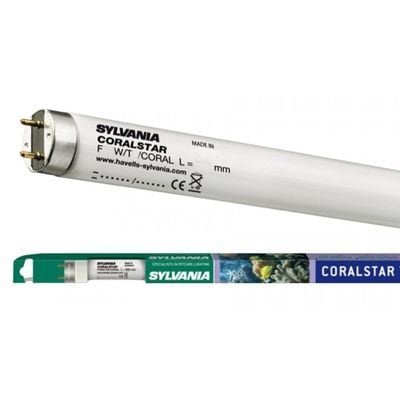 Sylvania 36W Coralstar T8 Floresan Ampul, Tuzlu Su ve Akvaryum İçin, STOK SORUNUZ