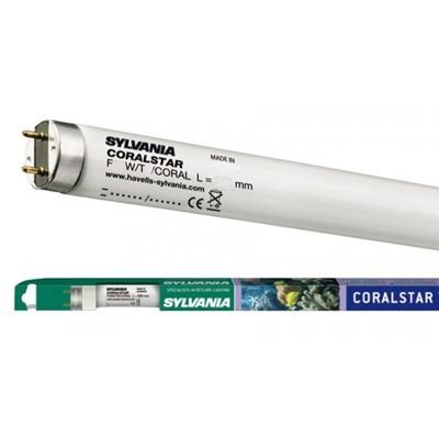 Sylvania 54W Coralstar T5 Floresan Ampul, Tuzlu Su ve Akvaryum İçin 115cm, STOK SORUNUZ